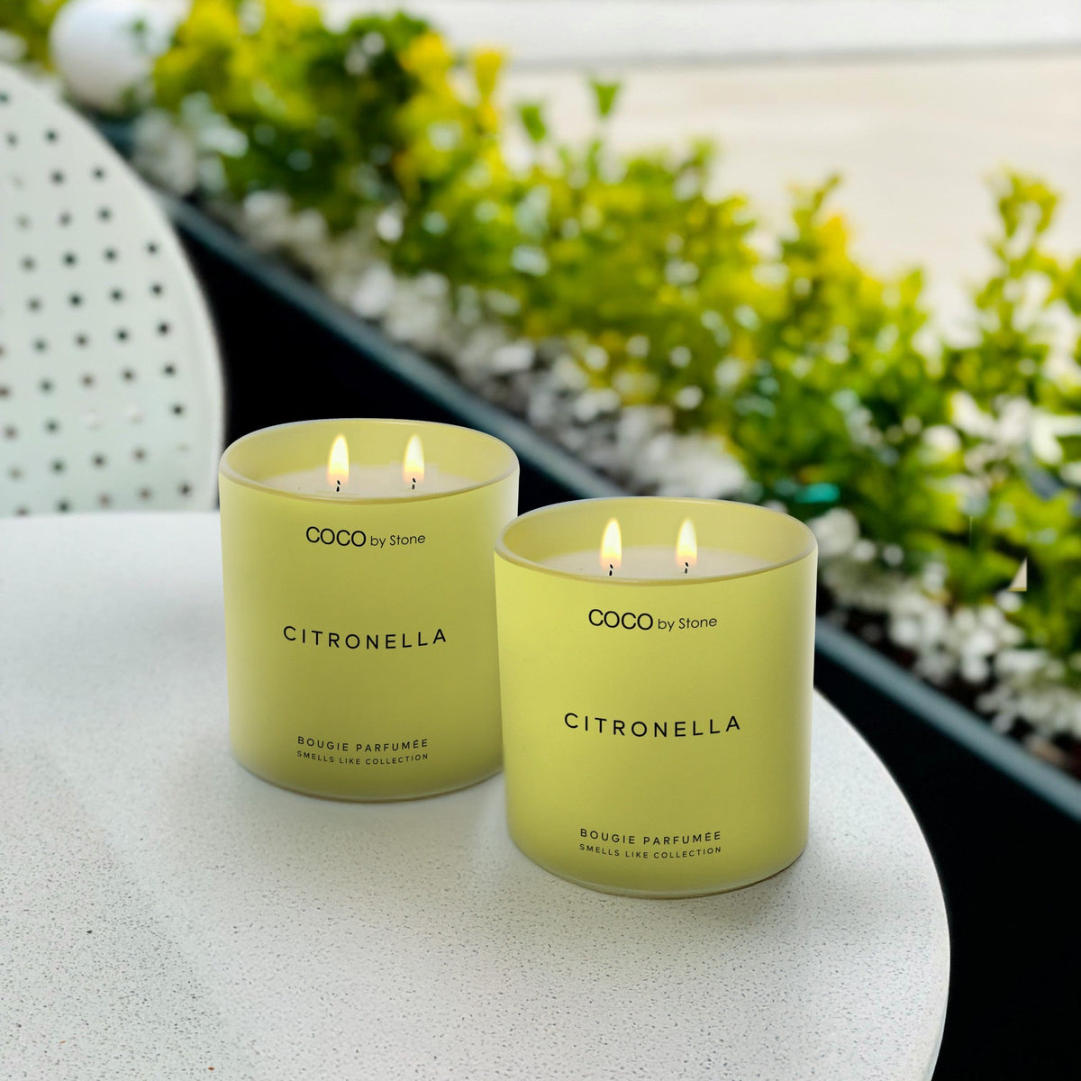 11oz Smells Like Citronella Candle - Ornate Home