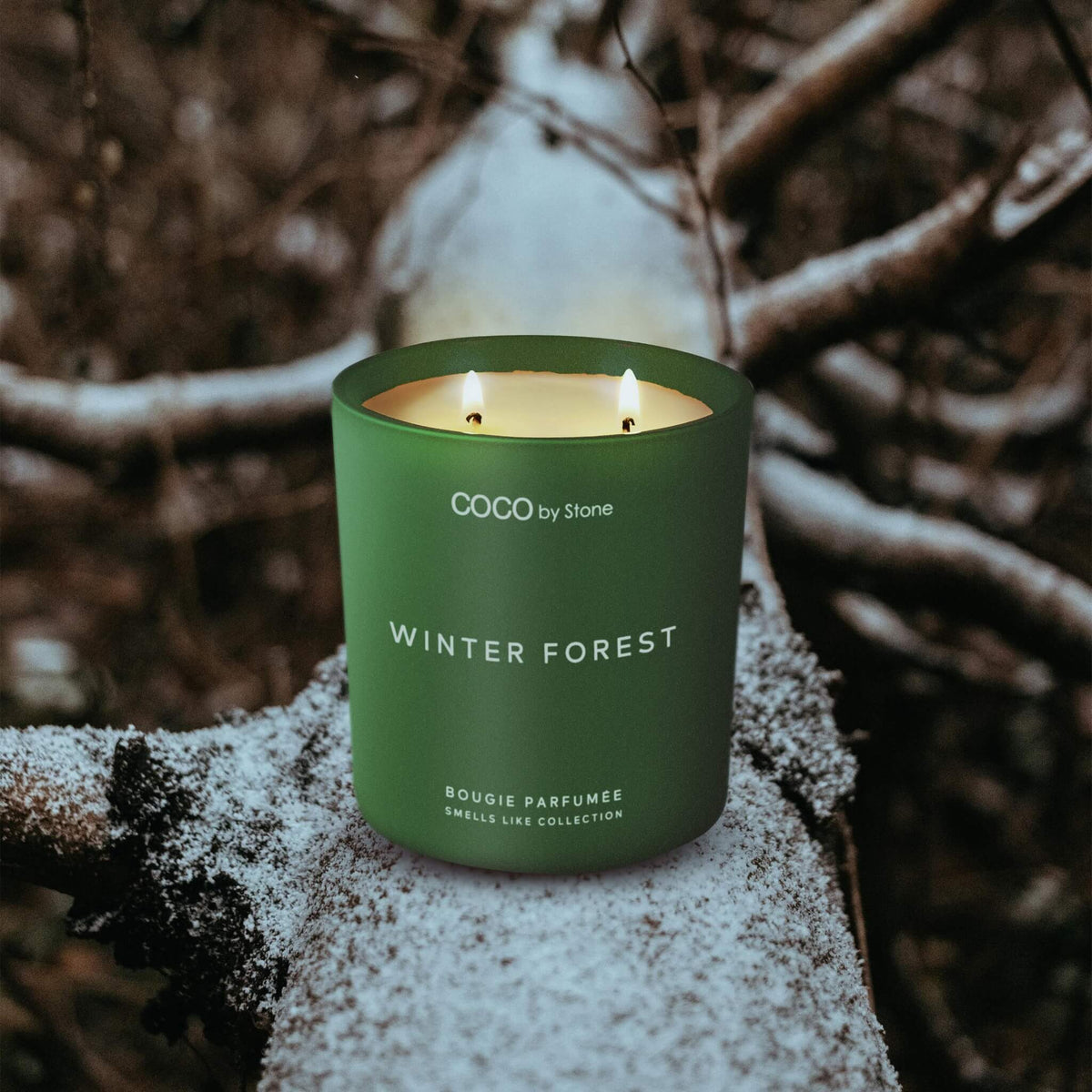 11oz Smells Like Winter Forest Candle - Ornate Home