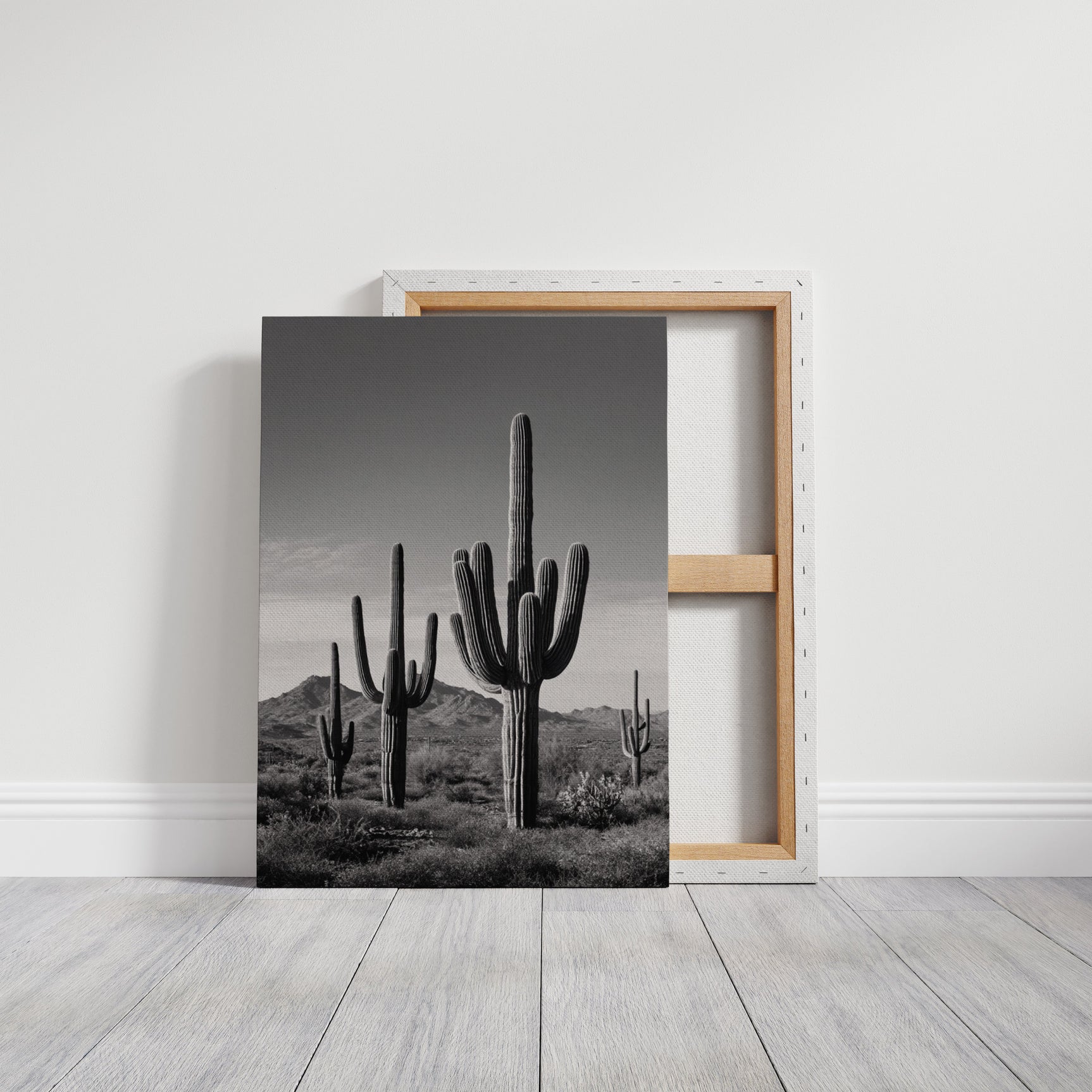 Desert Guardians