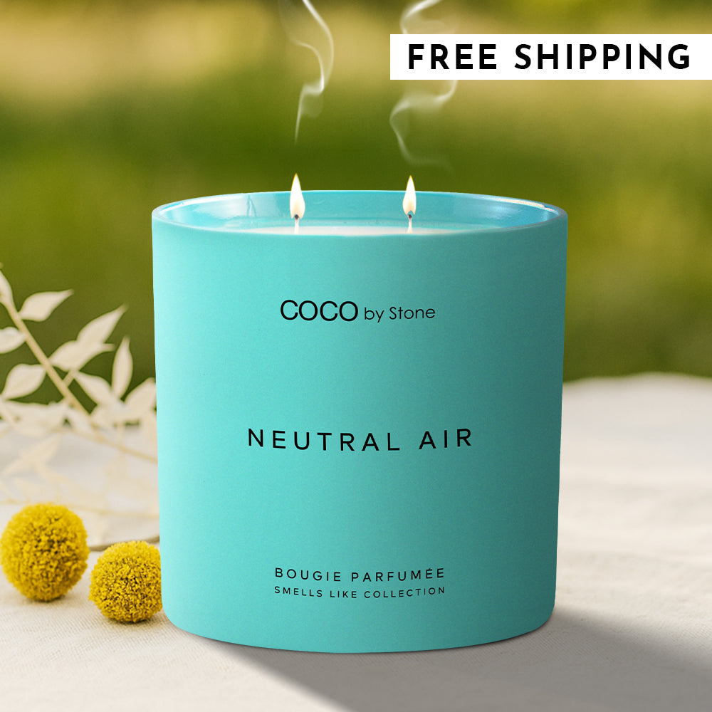 15oz Smells Like Neutral Air Candle - Ornate Home