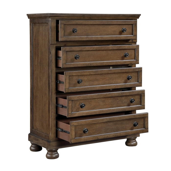 Begonia Brown Chest