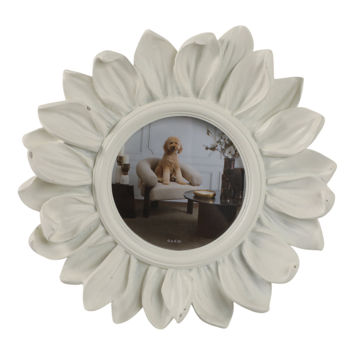 Tarabeach Ivory Frame