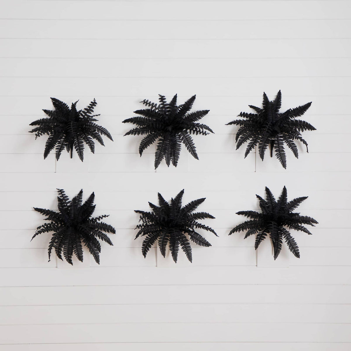 19" Artificial Halloween Black Boston Fern - Set of 6