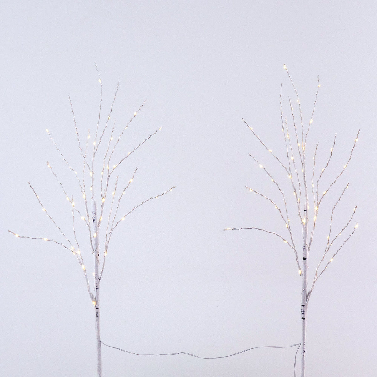 2.5' Pre-Lit Artificial White Birch Branches with Warm White 100 Micro LED Lights - Set of 2