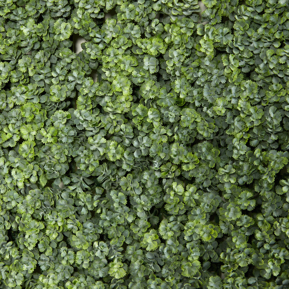 20” Succulent Artificial Wall Mat (Indoor/Outdoor) (Set of 2)