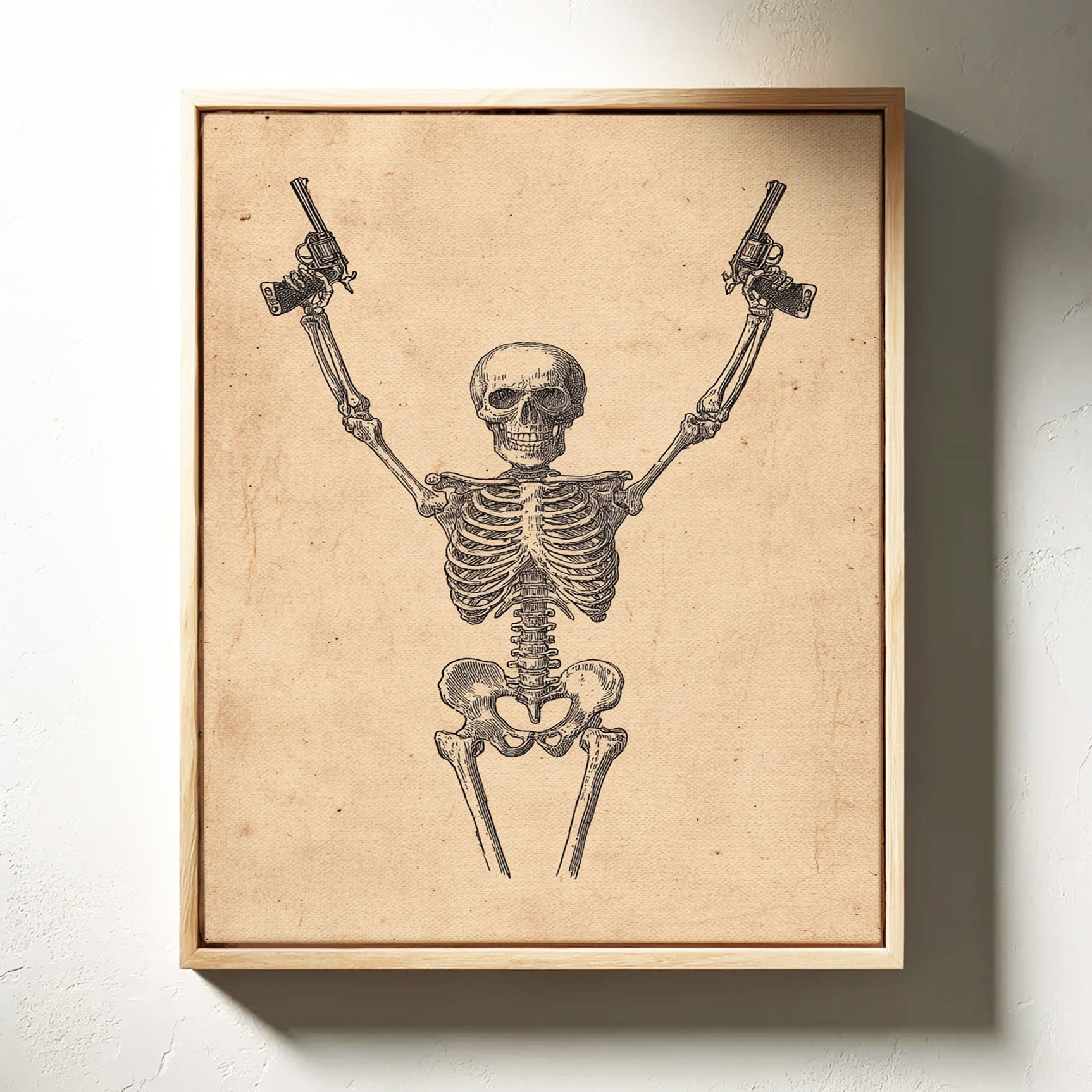 Outlaw Anatomy