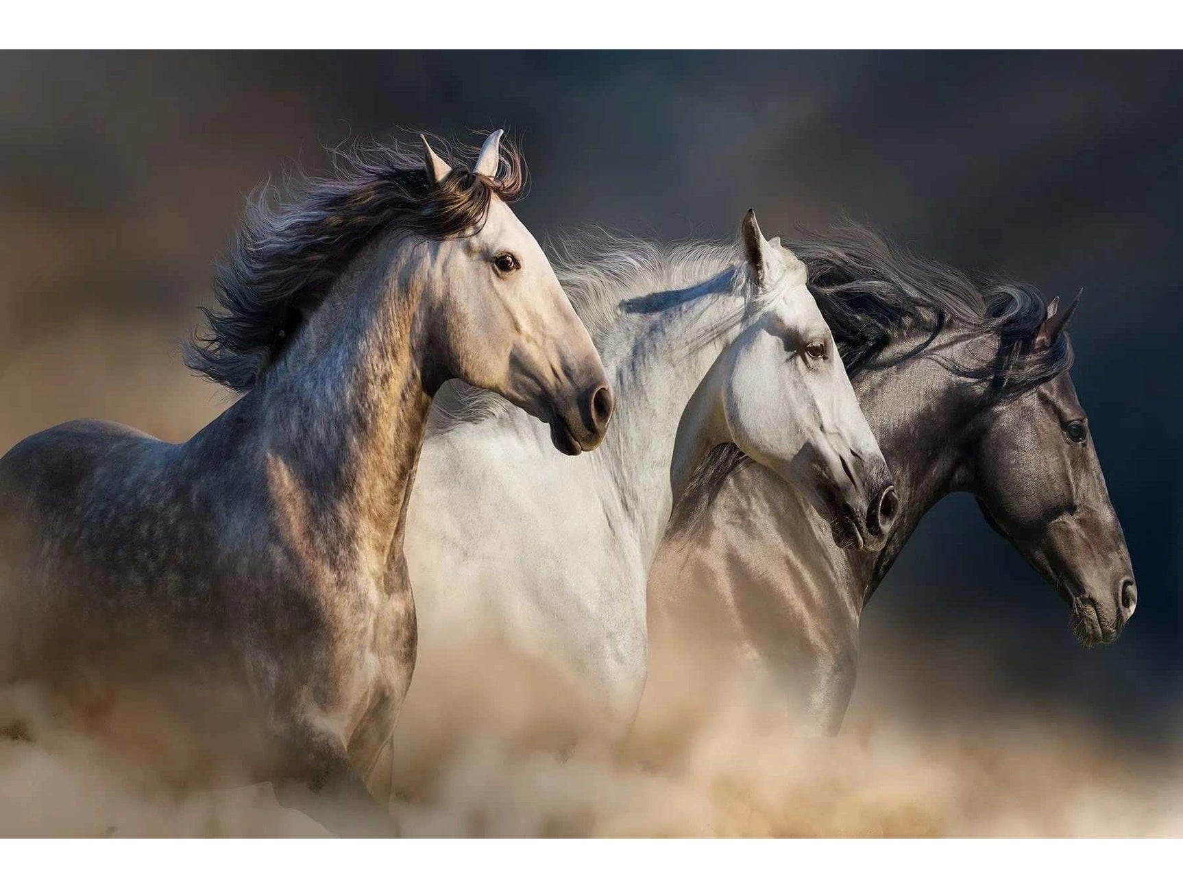 3 Horses Tempered Glass w / Foil Wall Art - Ornate Home