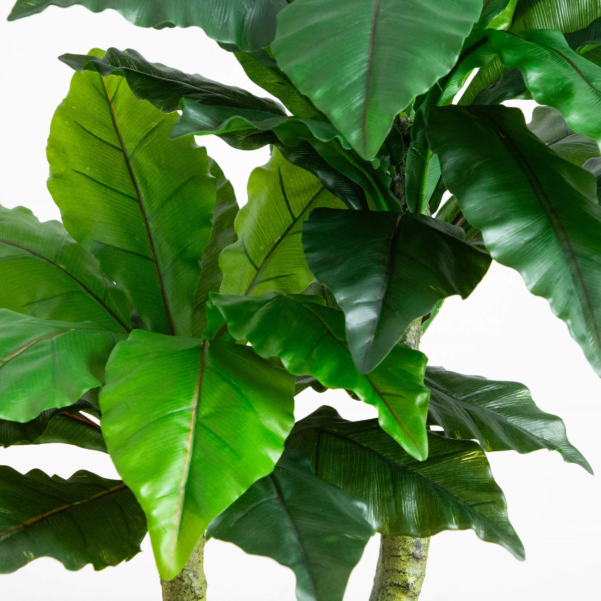 4' UV Resistant Artificial Bird Nest Fern Tree (Indoor/Outdoor)