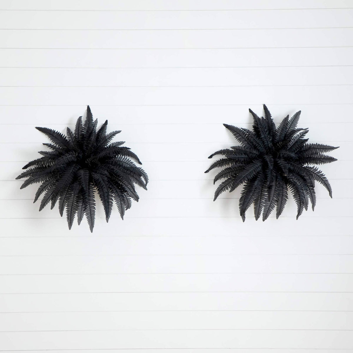 40" Artificial Halloween Black Boston Fern - Set of 2