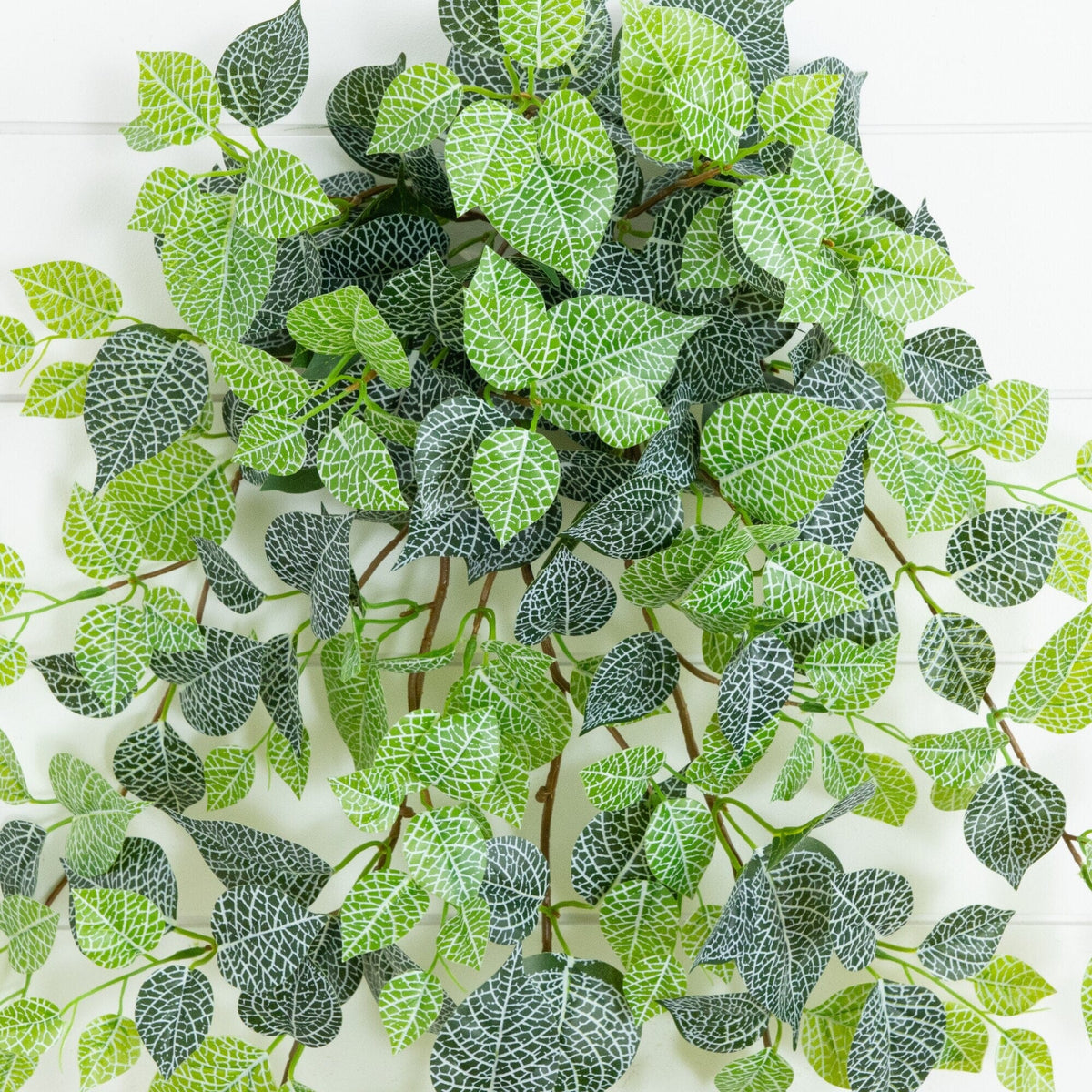 41" UV Resistant Artificial Fittonia Hanging Plant (Indoor/Outdoor) - Set of 3
