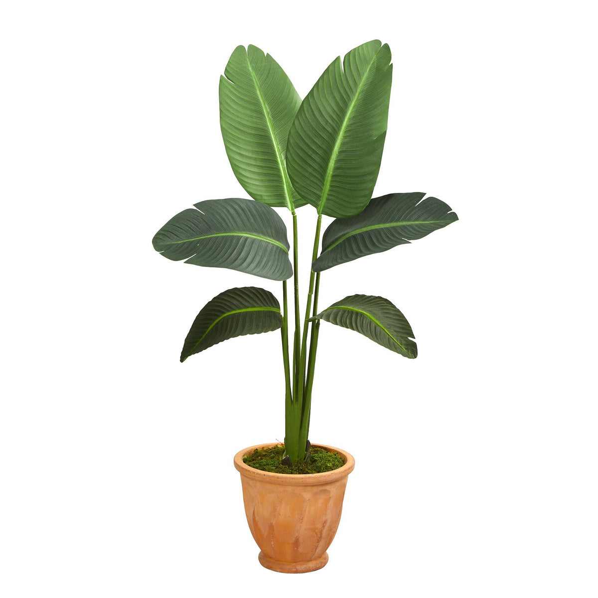 49” Traveler’s Palm Artificial Plant in Terra-Cotta Planter (Real Touch)