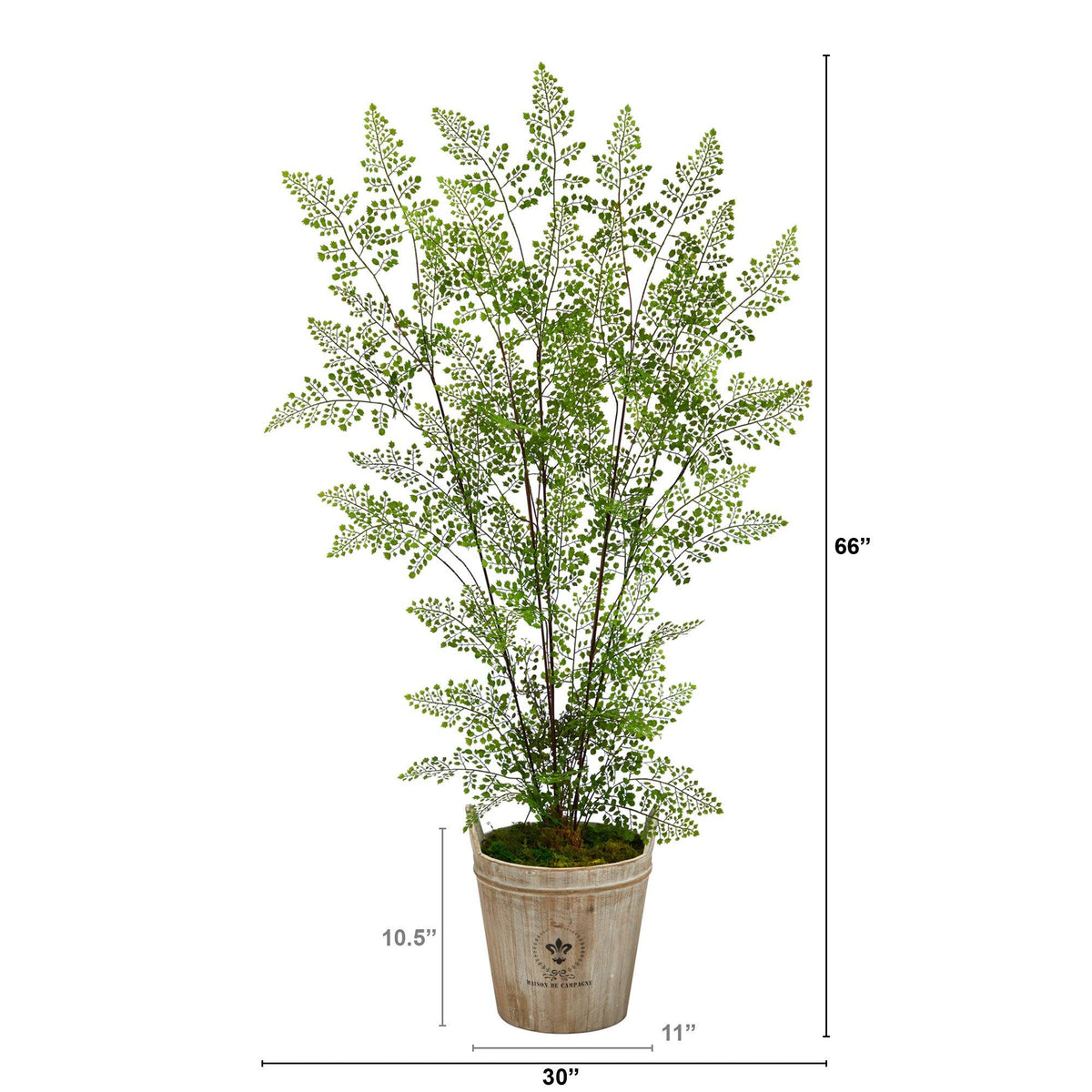 5.5’ Ruffle Fern Artificial Tree in Farmhouse Planter