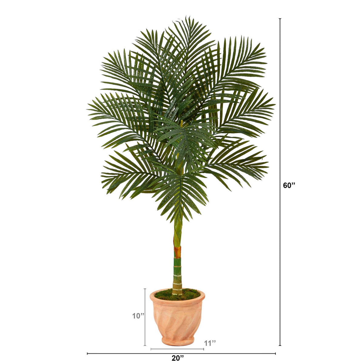 5’ Golden Cane Artificial Palm Tree in Terra-Cotta Planter