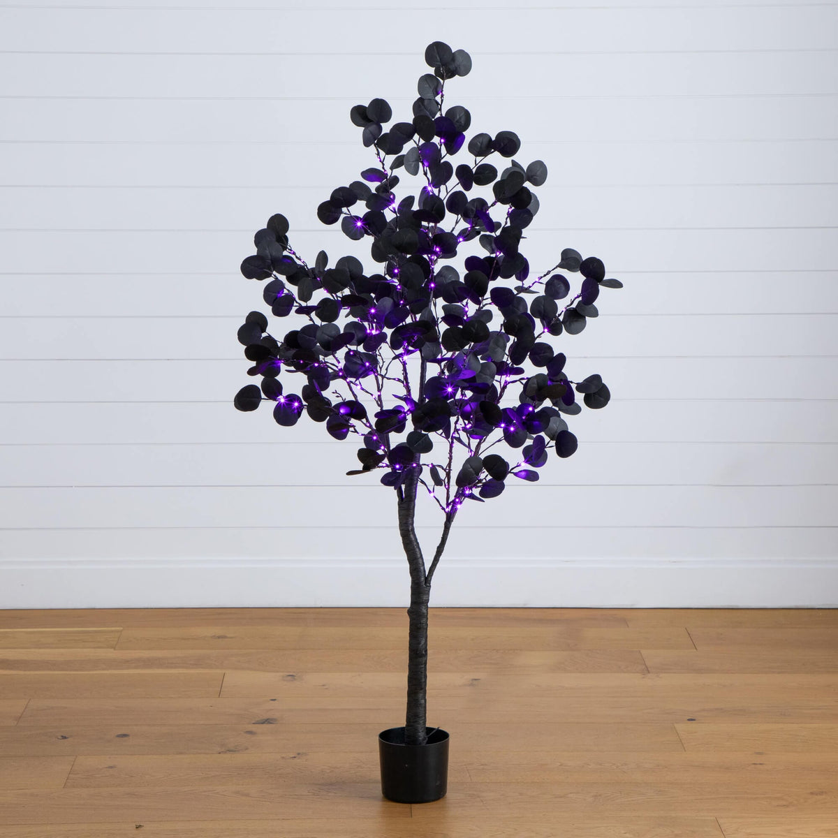 5' Pre-Lit Artificial Halloween Black Eucalyptus Tree with 220 Orange & Purple LED Lights