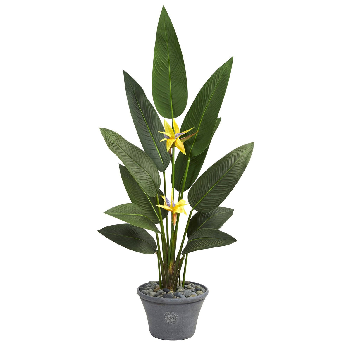 58” Bird of Paradise Artificial Plant in Gray Planter (Real Touch)