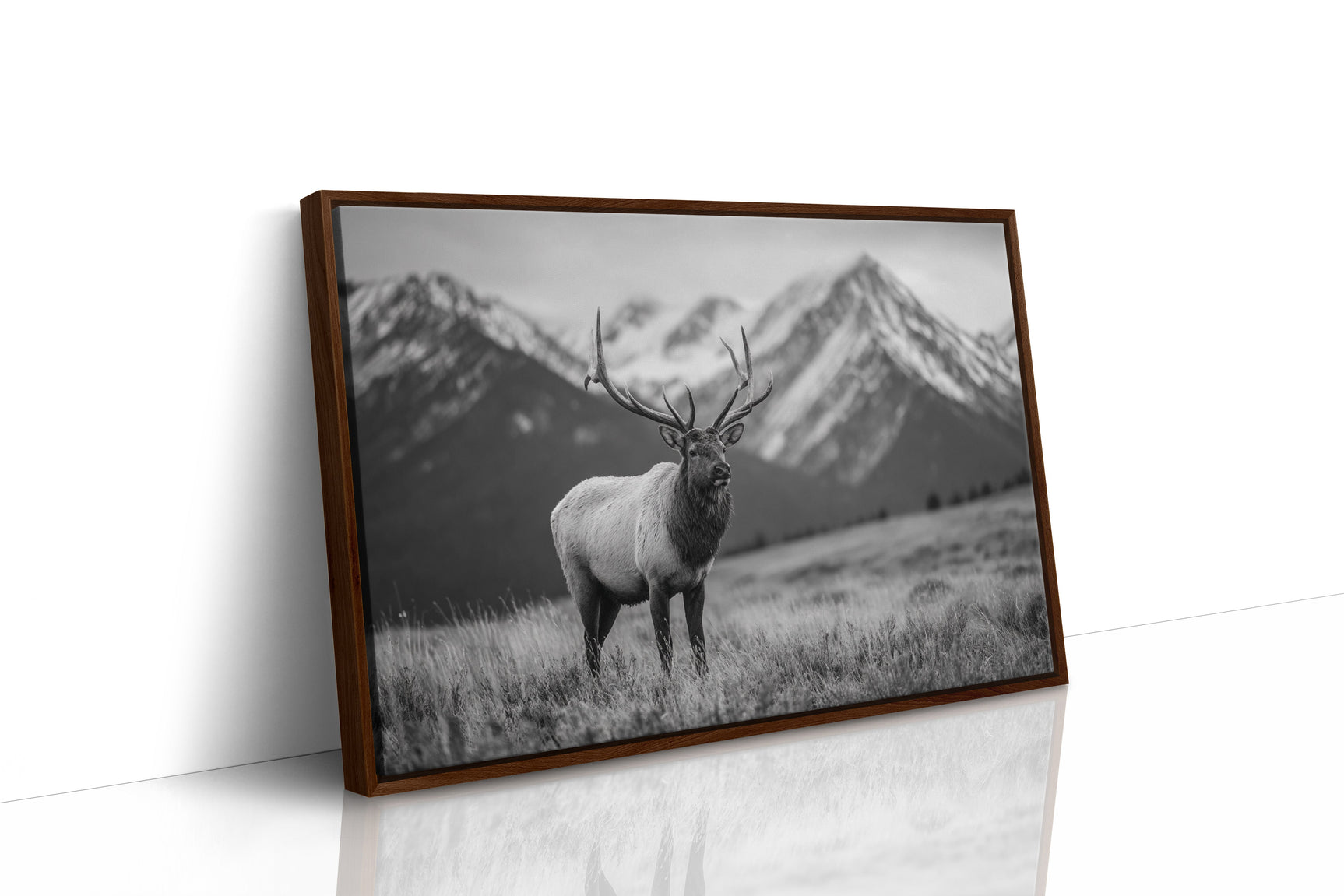 Crown of the Wilderness