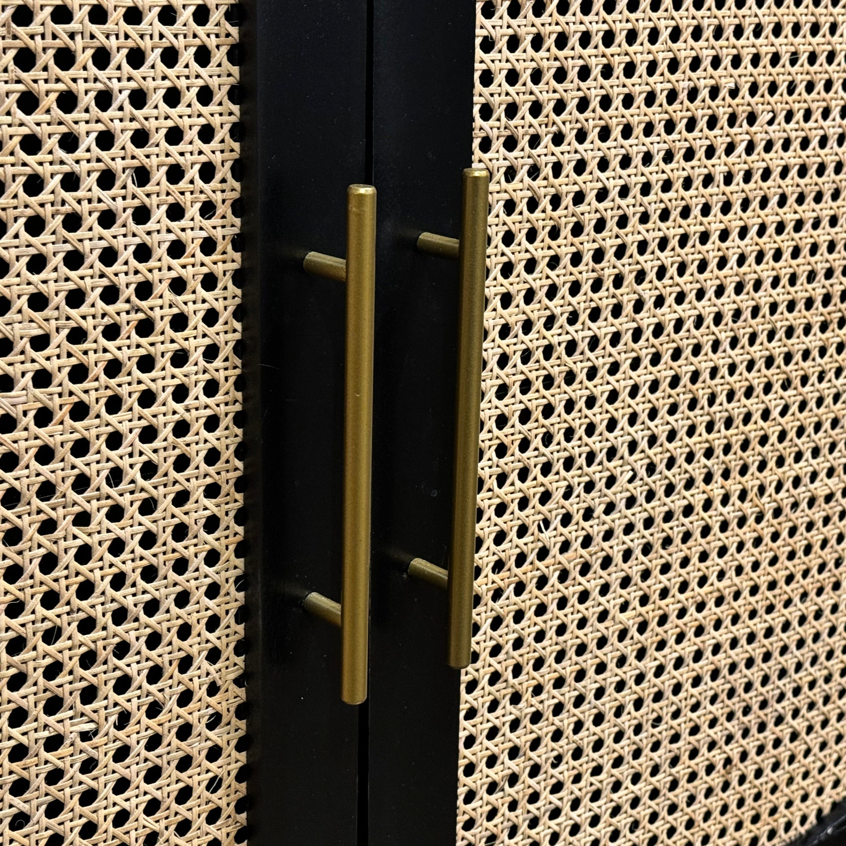 İndi Black/Tan Two-Door Cabinet