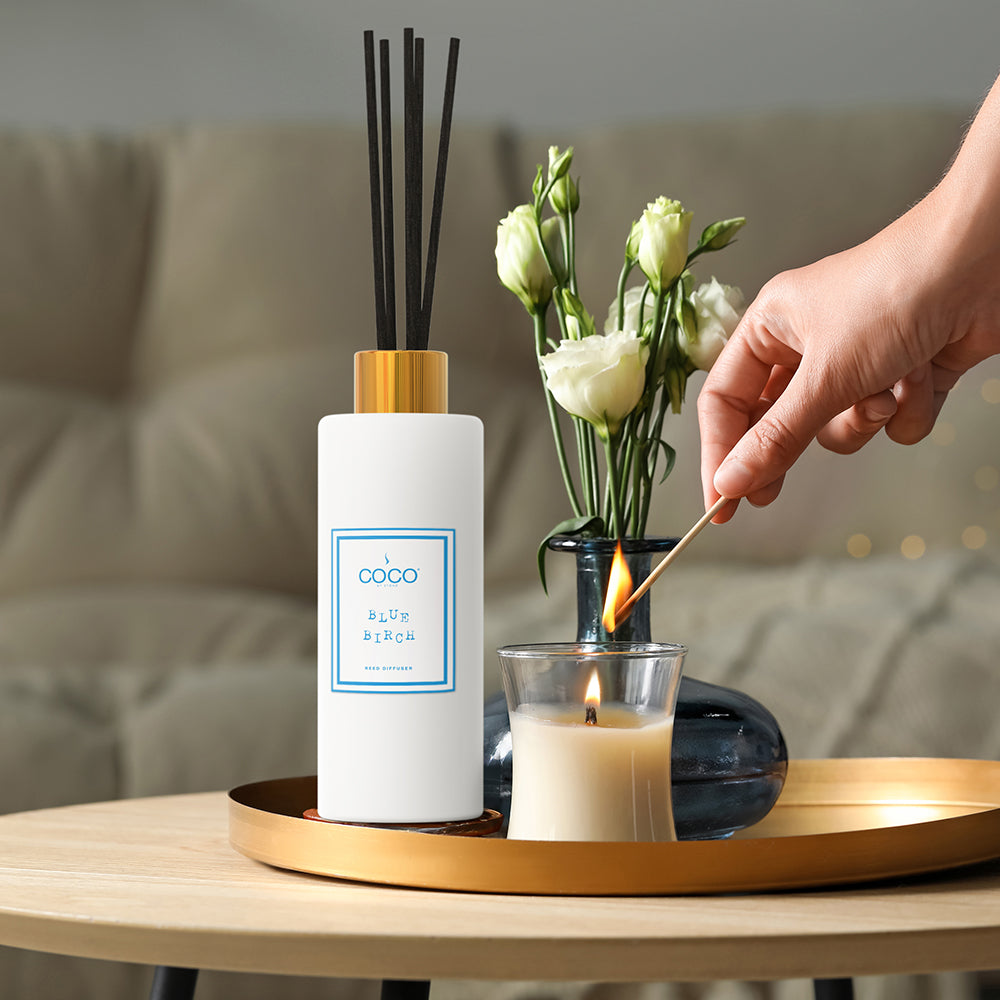 5oz Blue Birch Reed Diffuser - Ornate Home