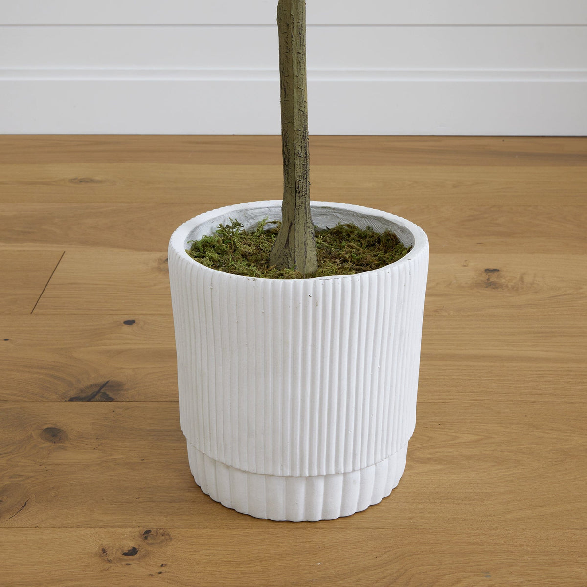 6’ Artificial Eucalyptus Tree with White Decorative Planter