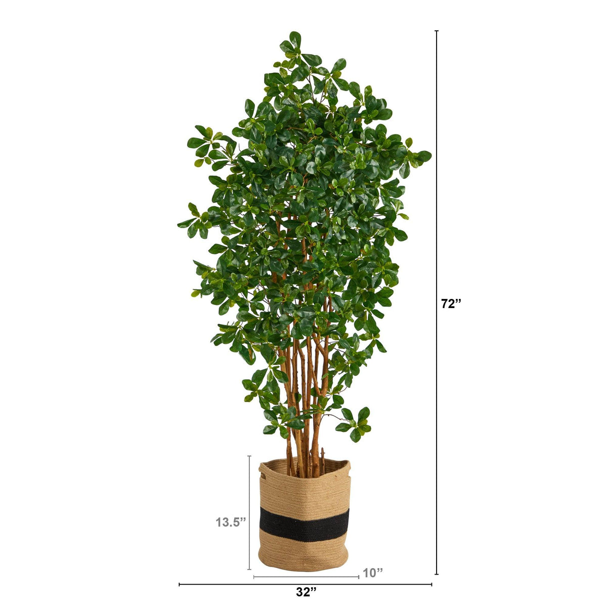 6’ Black Olive Artificial Tree in Handmade Natural Cotton Planter