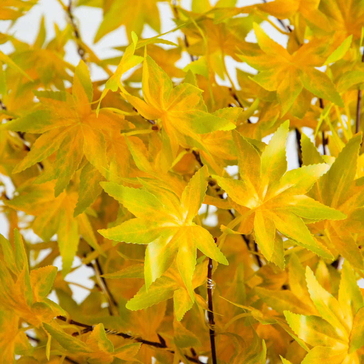 6' Pre-Lit Yellow Autumn Maple Artifical Fall Tree with 350 Warm White LED Lights