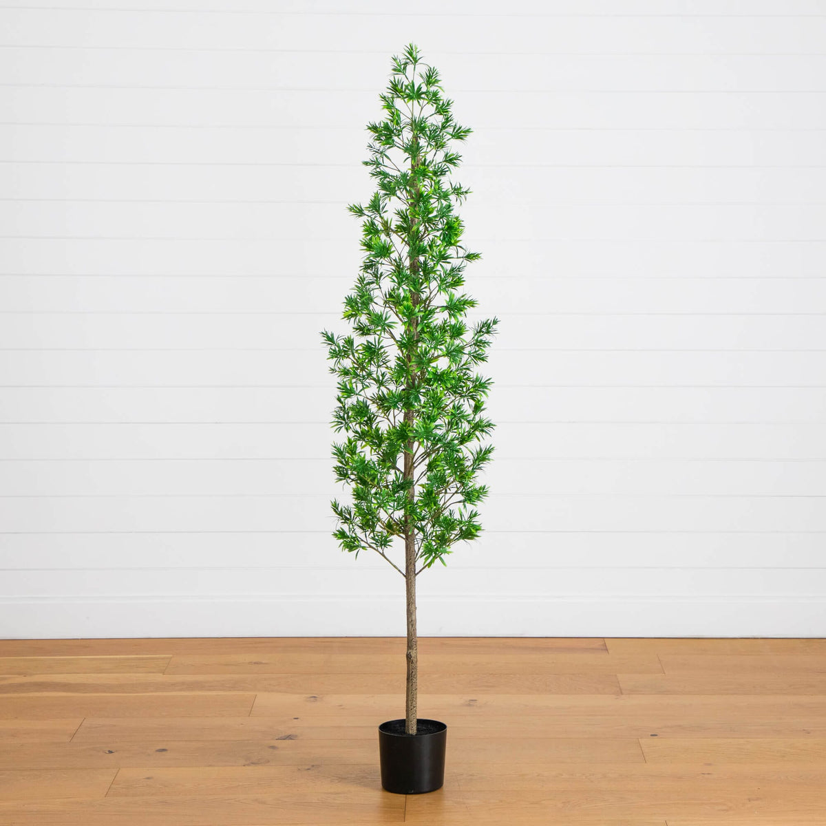 6' UV Artificial Podocarpus Artificial Tree (Indoor/Outdoor)