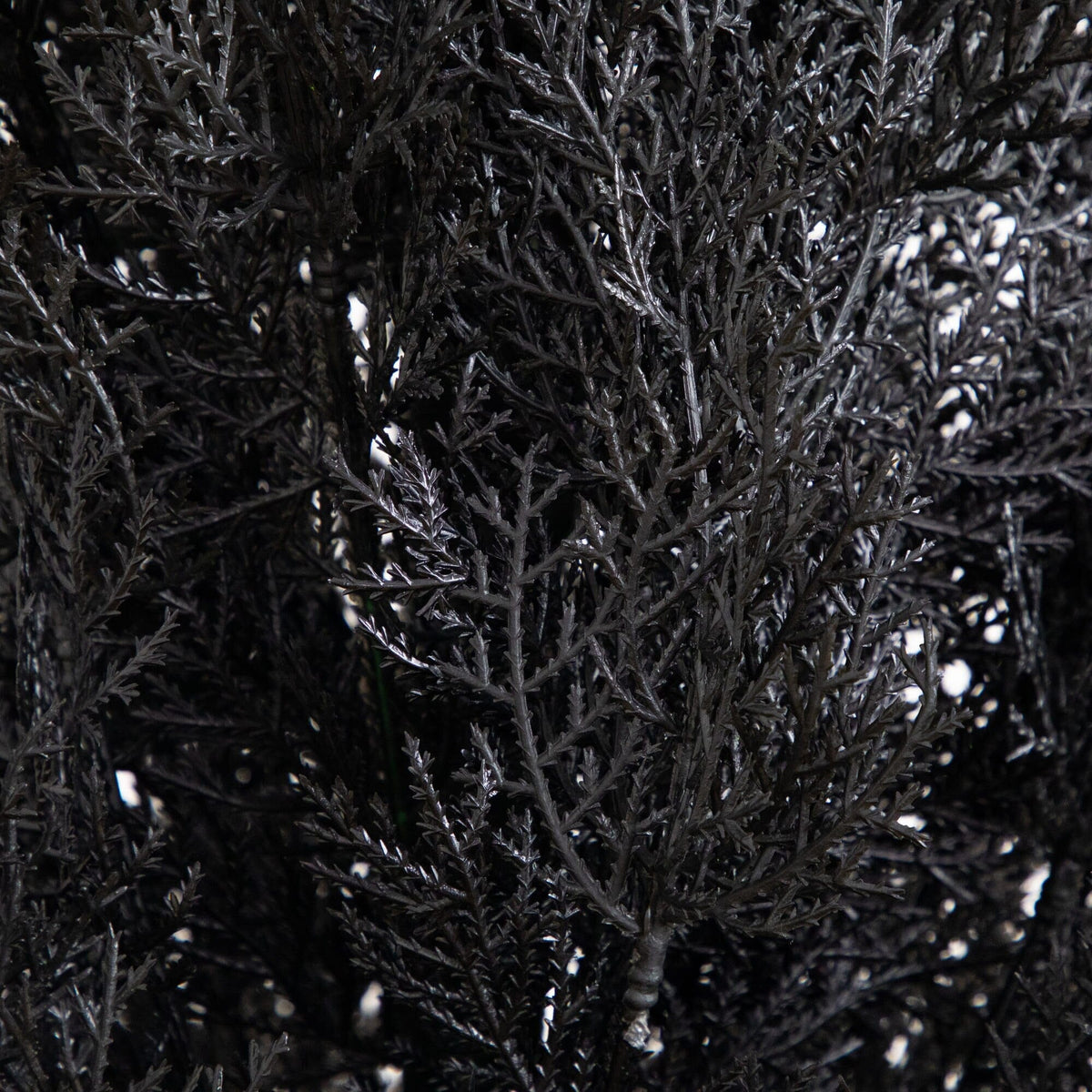 6' UV Resistant Artificial Halloween Black Cedar Tree (Indoor/Outdoor)