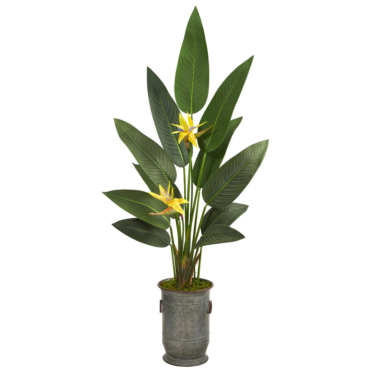 62” Bird of Paradise Artificial Plant in Vintage Metal Planter (Real Touch)