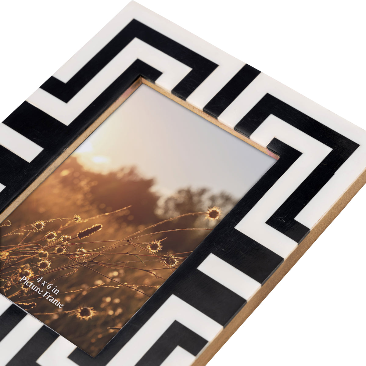 Del Ray Black/White Resin 4x6 Photo Frame