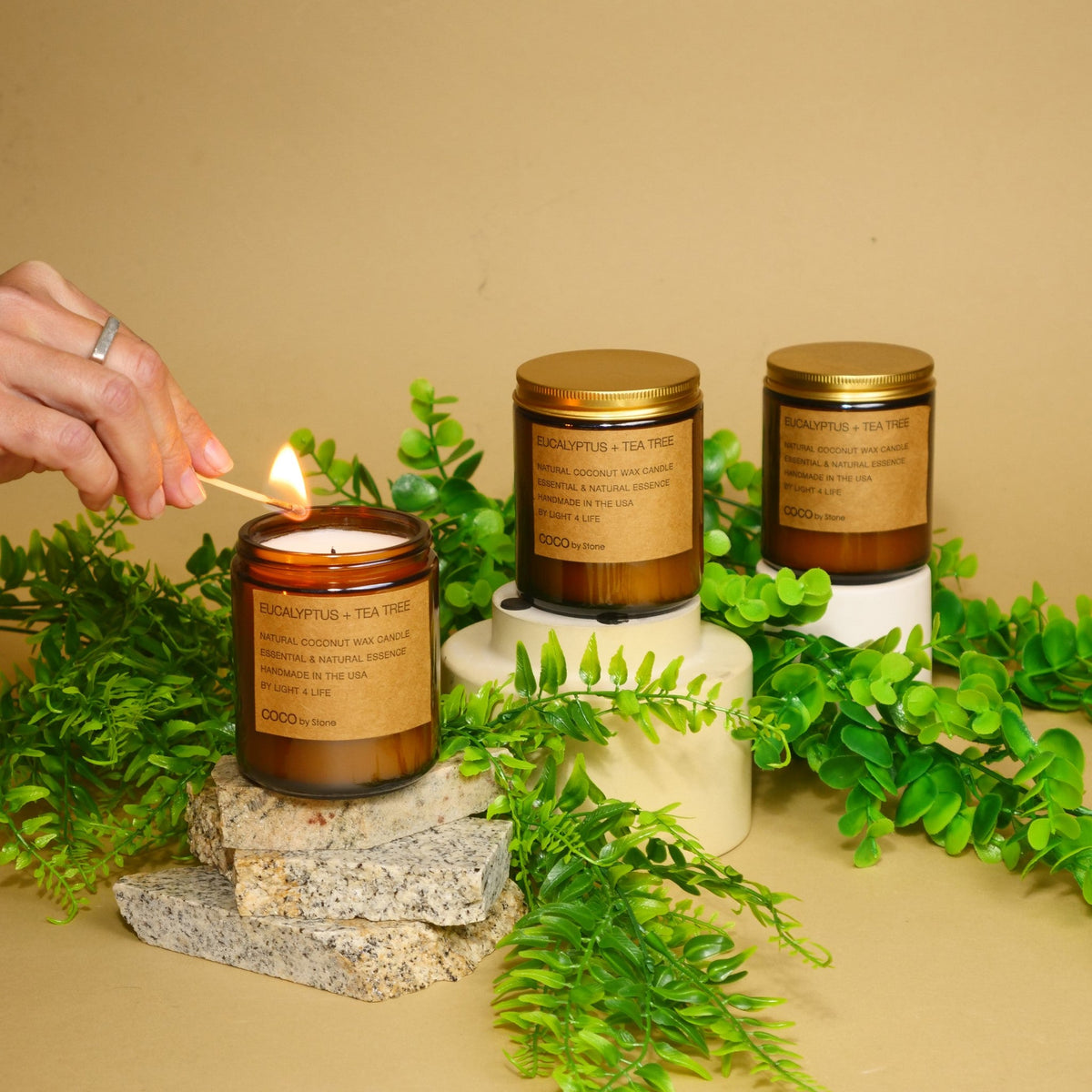 7.2oz Eucalyptus + Tea Tree Natural Coconut Apricot Wax Candle - Ornate Home