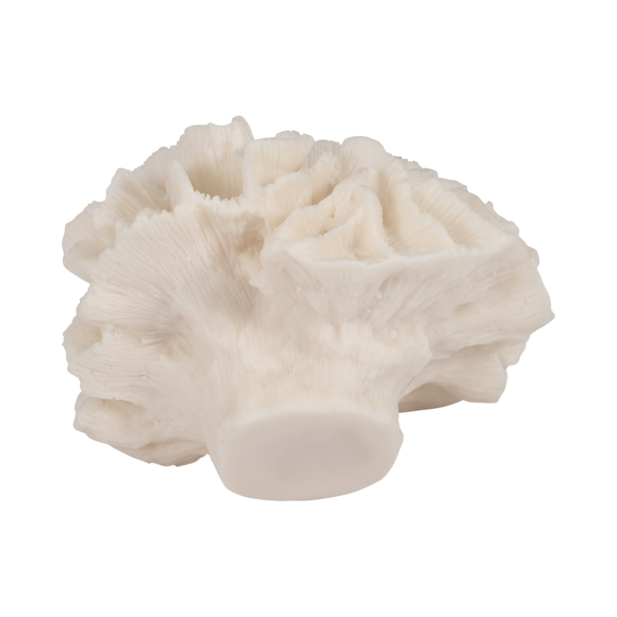 Brainard Ivory Petal Coral