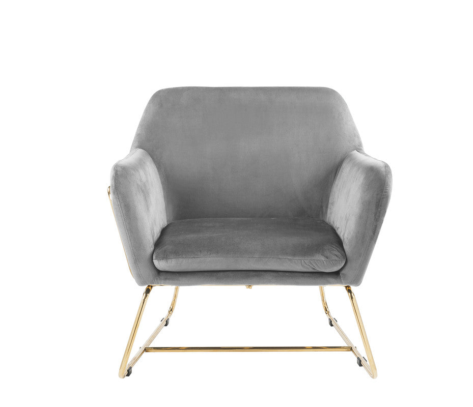 Keira Gray 29.5"W Velvet Accent Chair