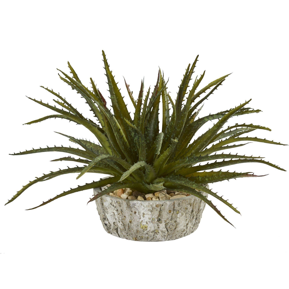 9” Aloe Succulent Artificial Plant in Weathered Oak Planter
