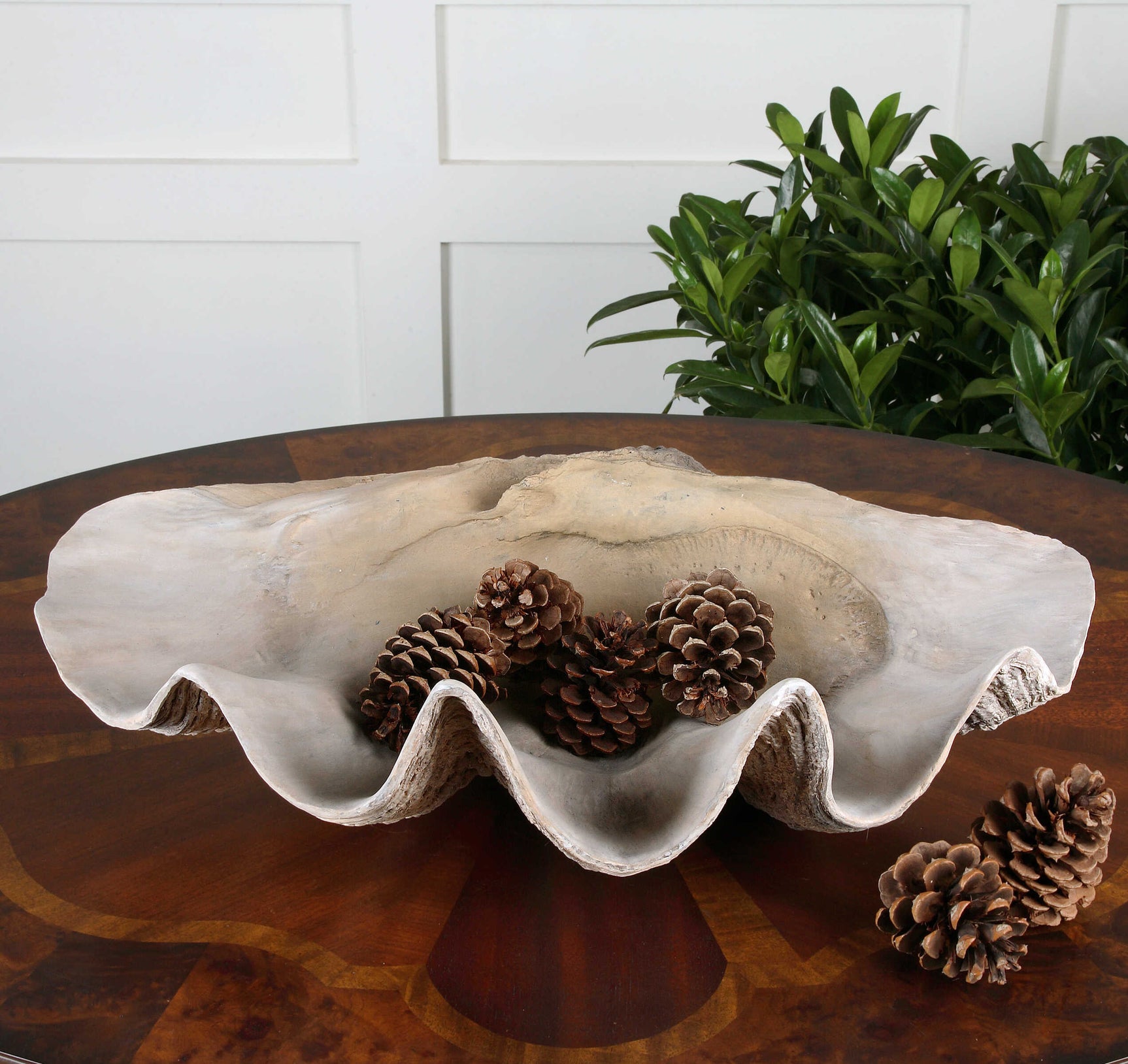 Clam Brown/Gray/White Shell Bowl