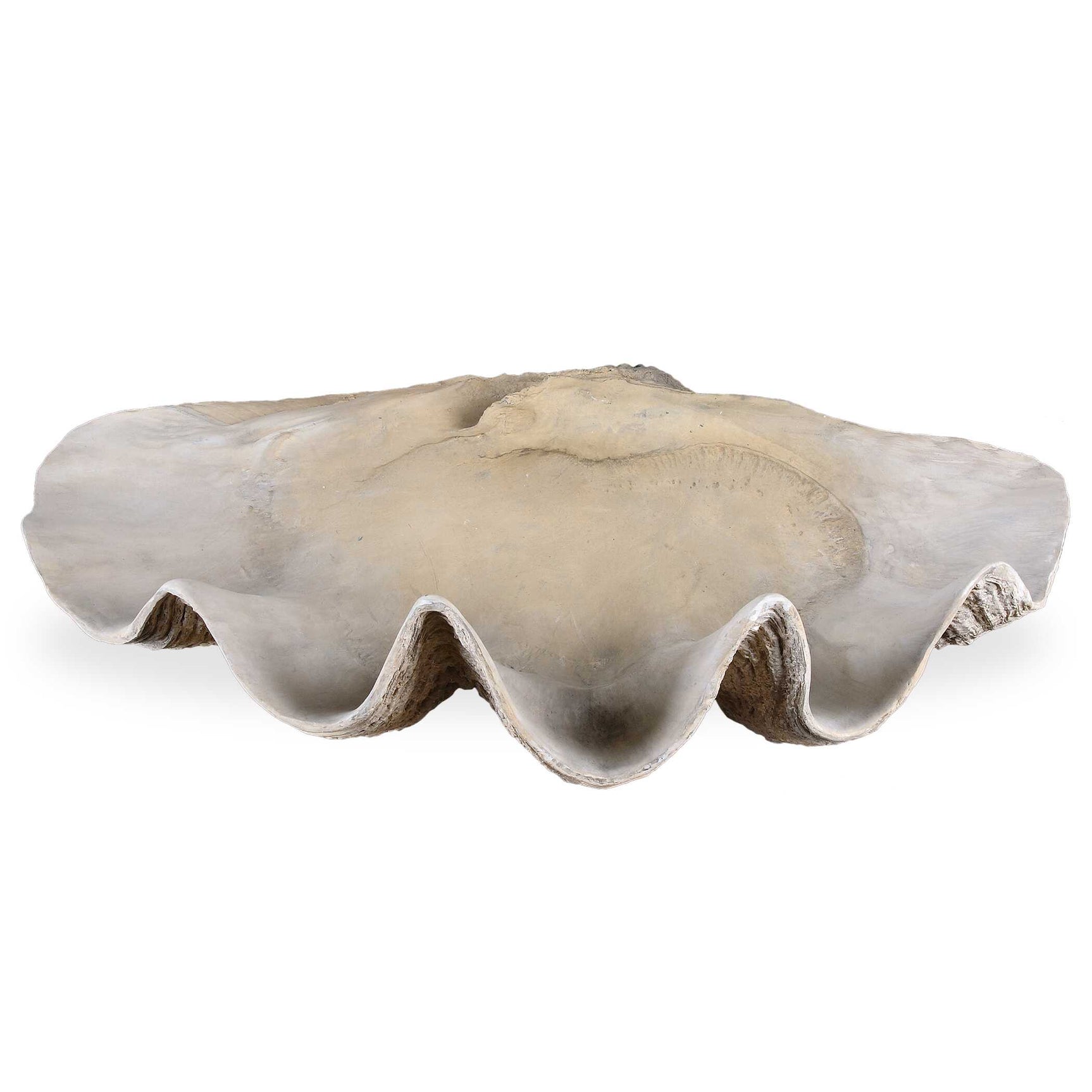 Clam Brown/Gray/White Shell Bowl