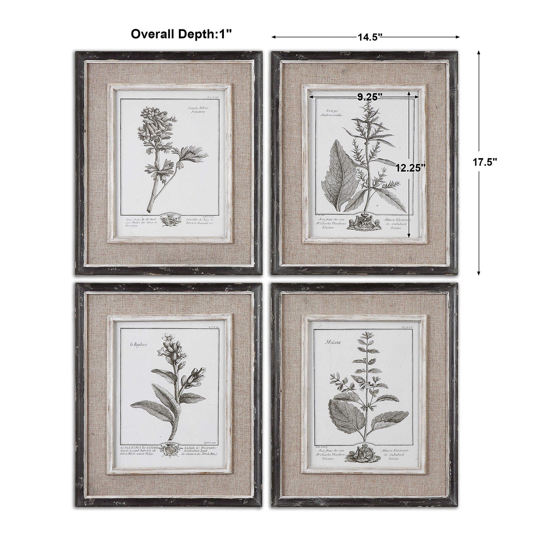 Casual Grey Study Multicolor Framed Art (Set of 4)