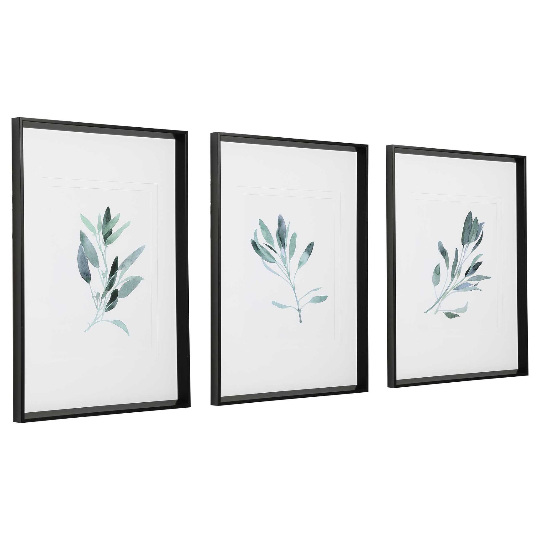 Simple Sage Black/Green/White Watercolor Prints (Set of 3)