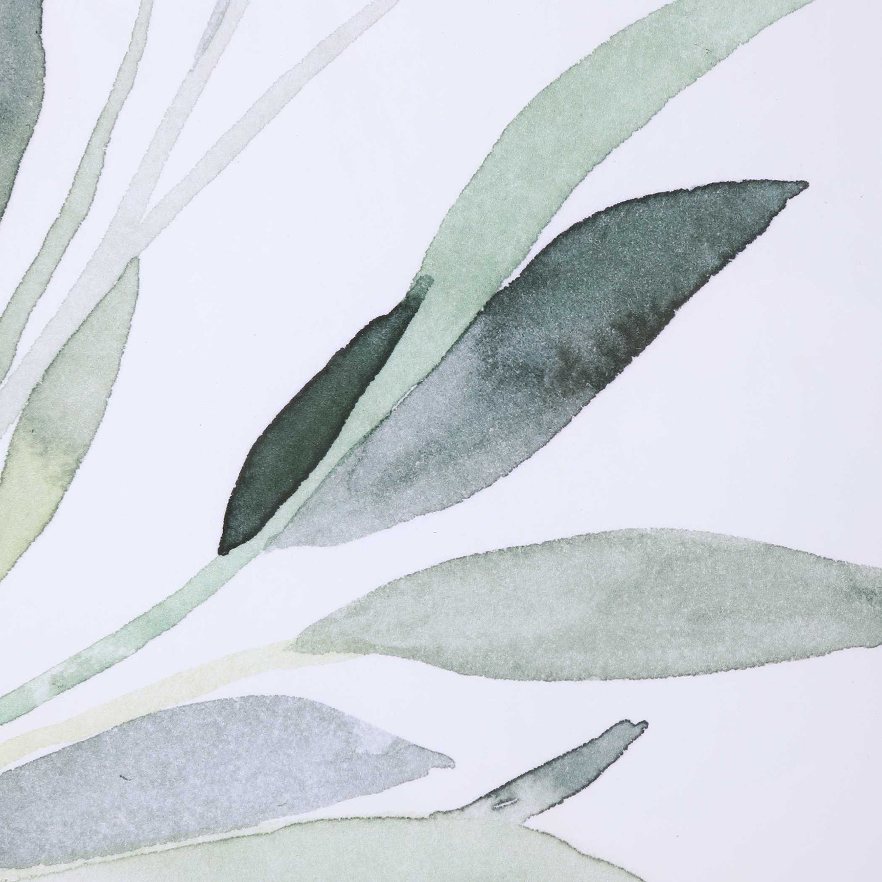 Simple Sage Black/Green/White Watercolor Prints (Set of 3)