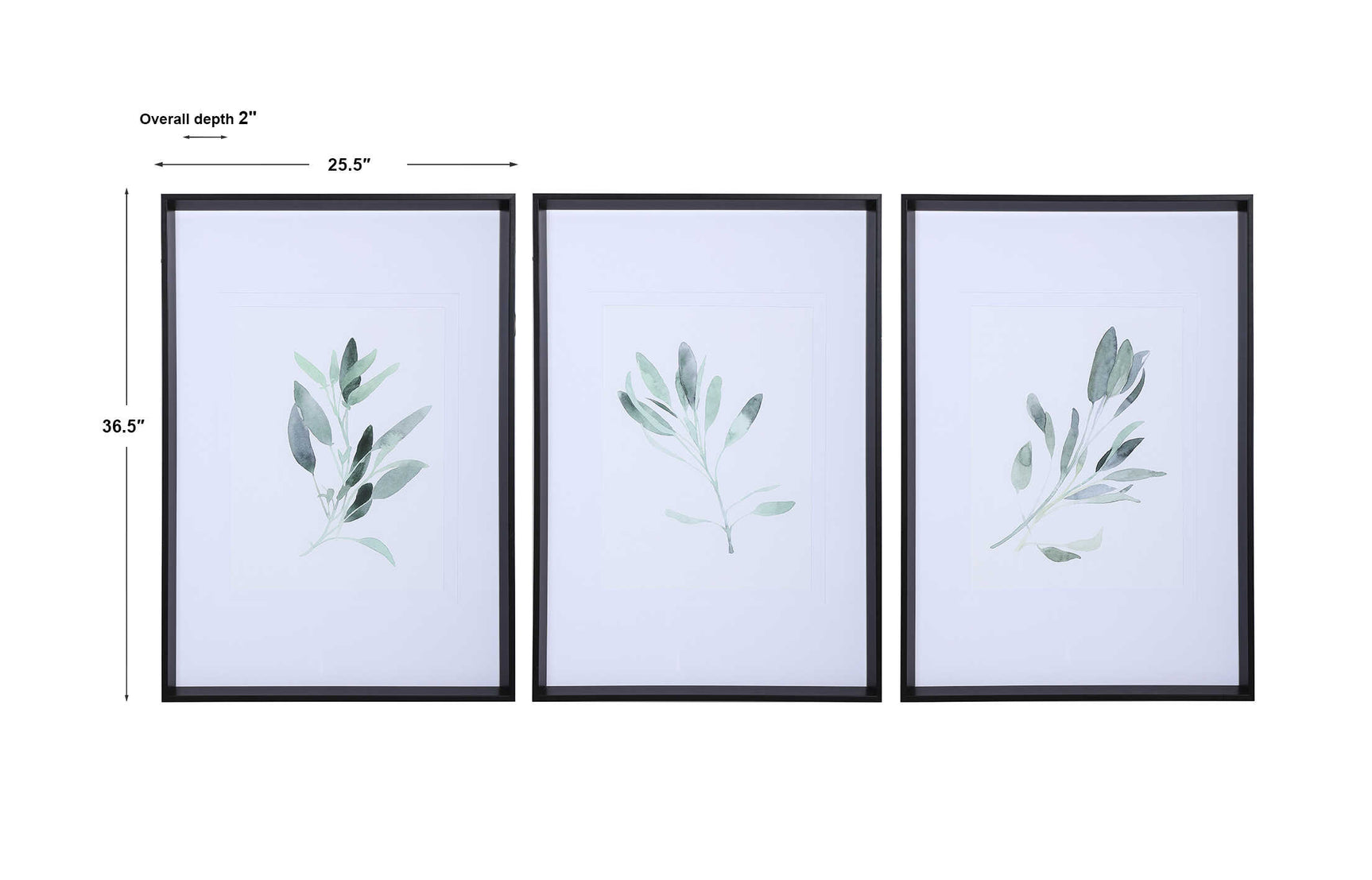 Simple Sage Black/Green/White Watercolor Prints (Set of 3)