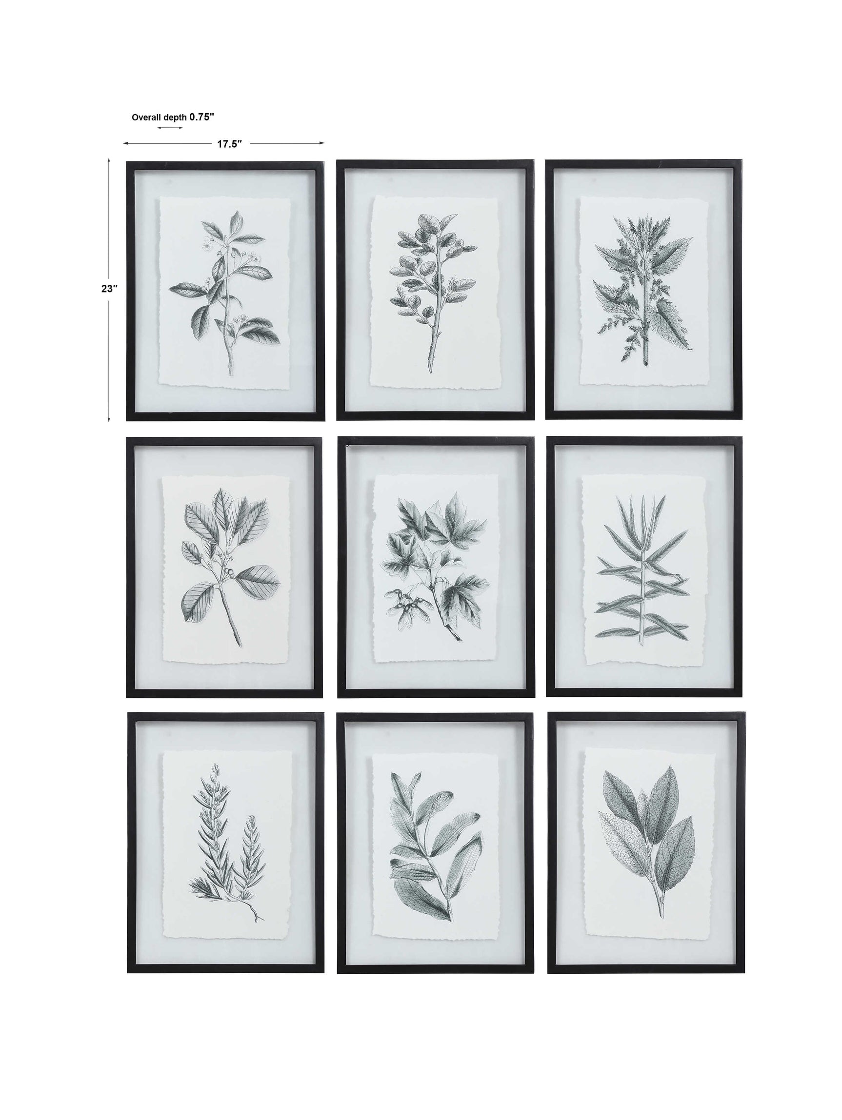 Farmhouse Florals Black/White Framed Prints (Set of 9)