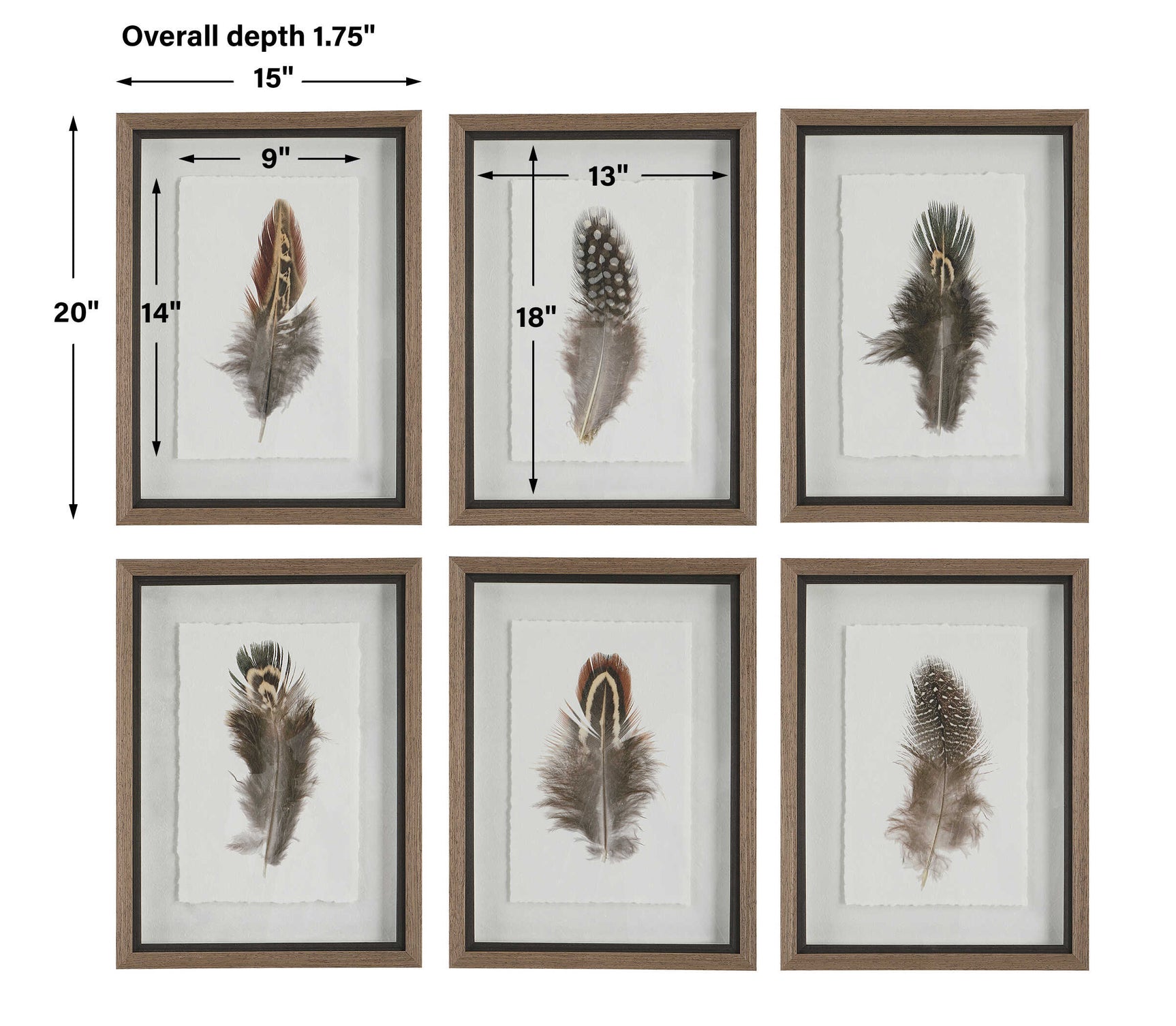 Birds Of A Feather Black/Brown/White Framed Prints (Set of 6)