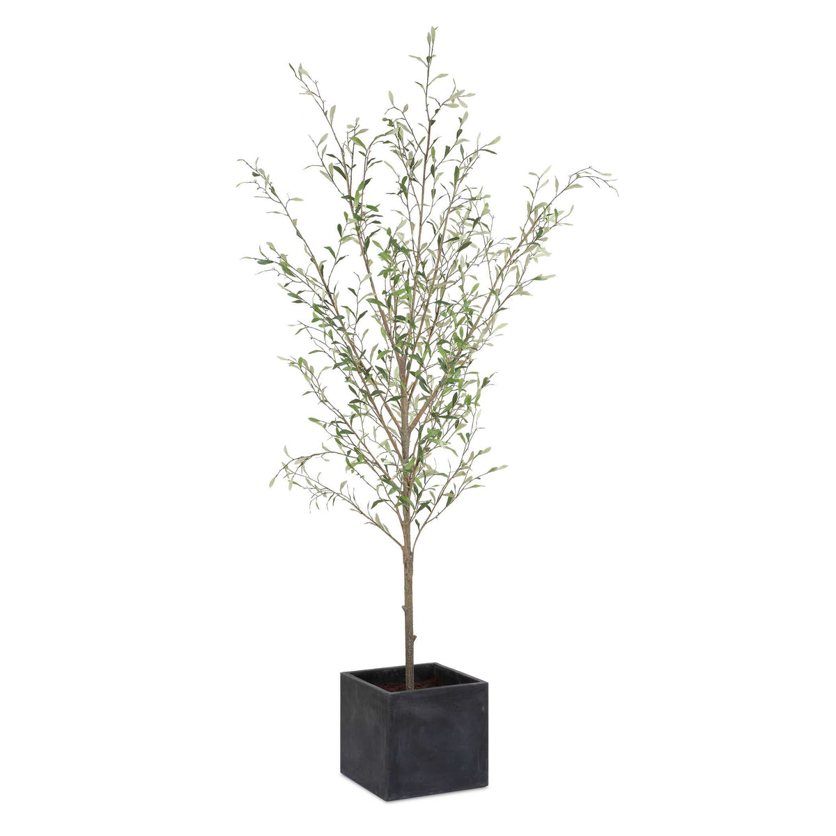 Abundance Olive Potted Tree - Ornate Home