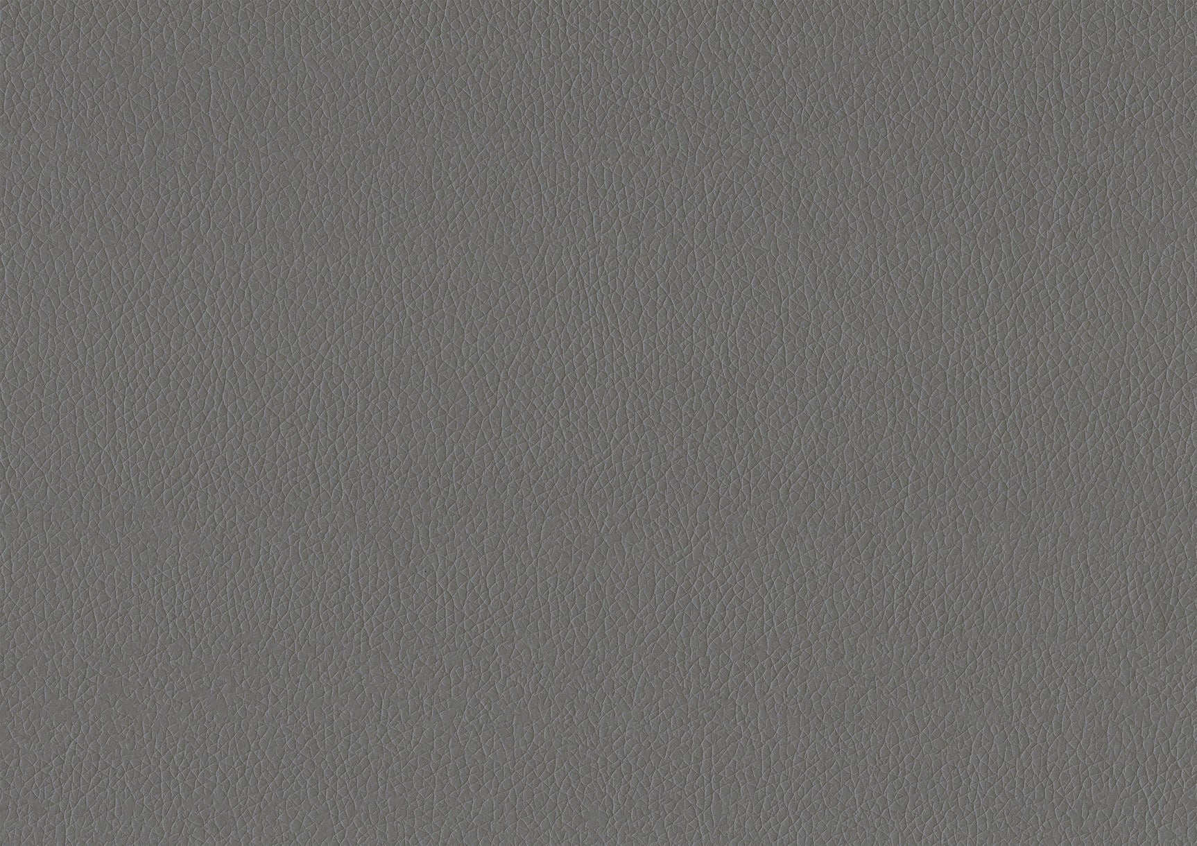 Adra Gray Daybed with Trundle - Ornate Home