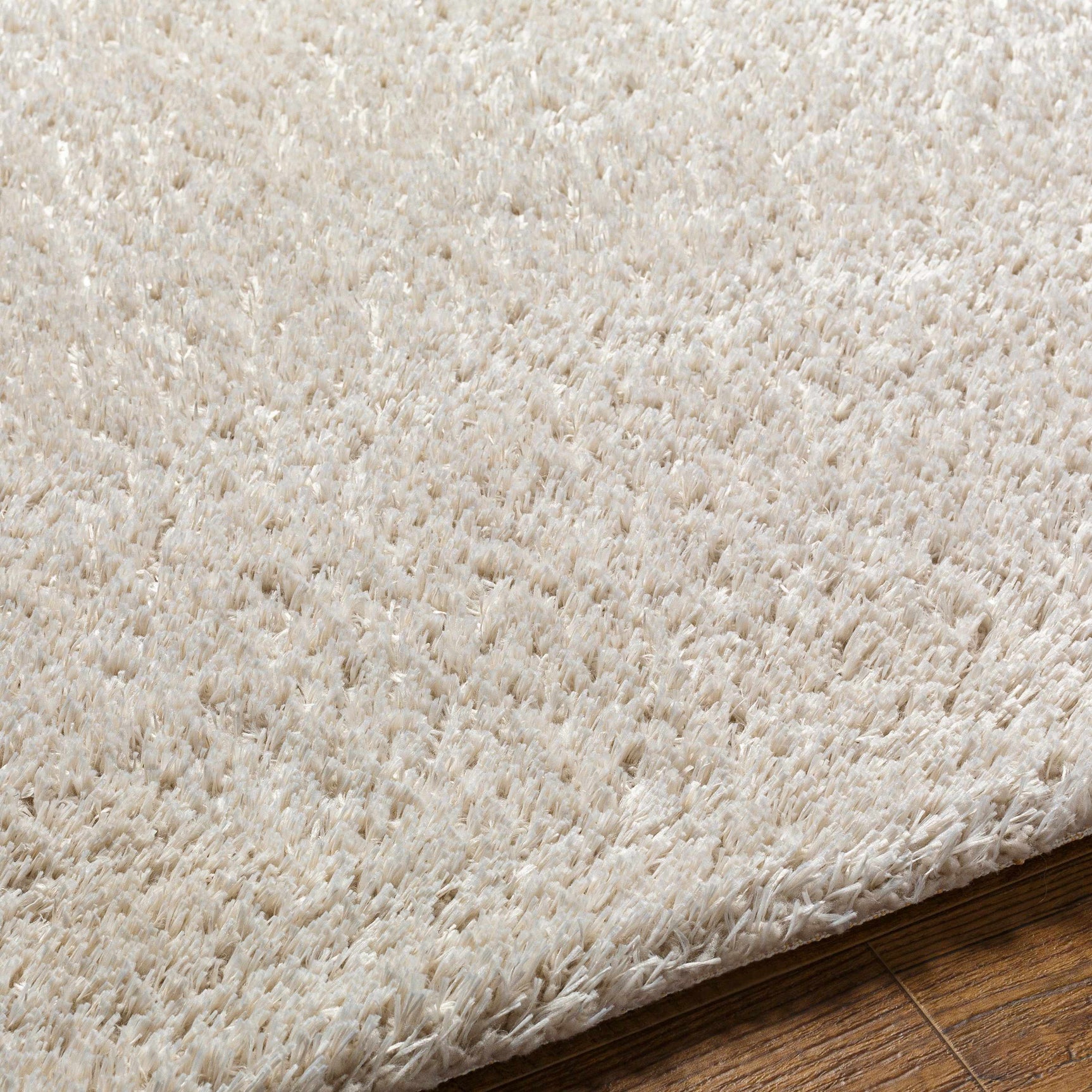 Ajeya Area Rug - Ornate Home