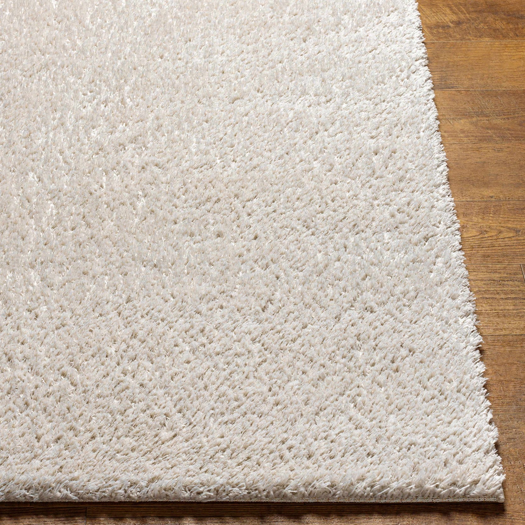 Ajeya Area Rug - Ornate Home