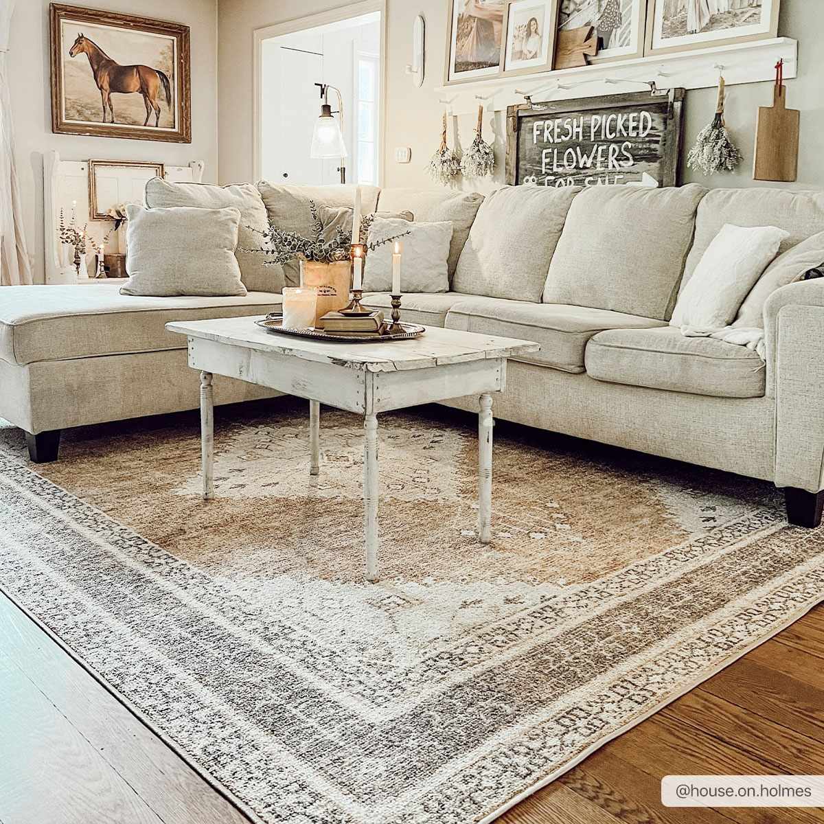 Albas Washable Area Rug - Ornate Home