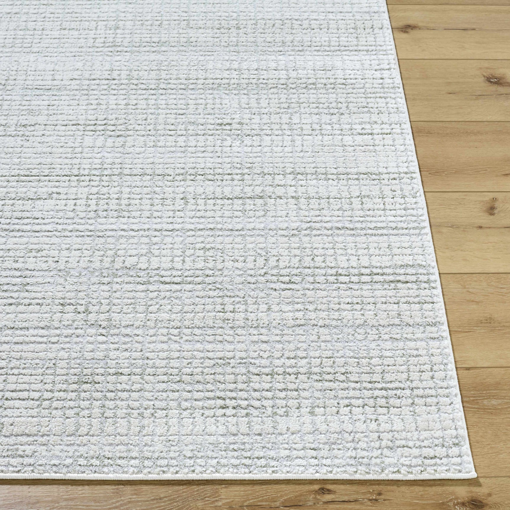 Albena Gray Area Rug - Ornate Home
