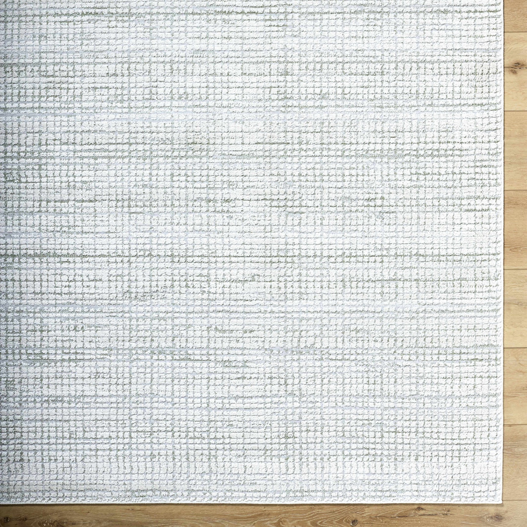 Albena Gray Area Rug - Ornate Home