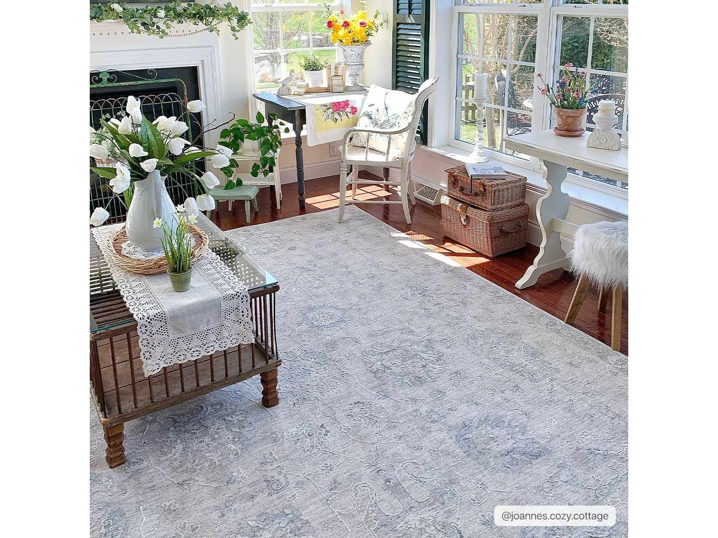 Albuquerque Area Rug - Ornate Home