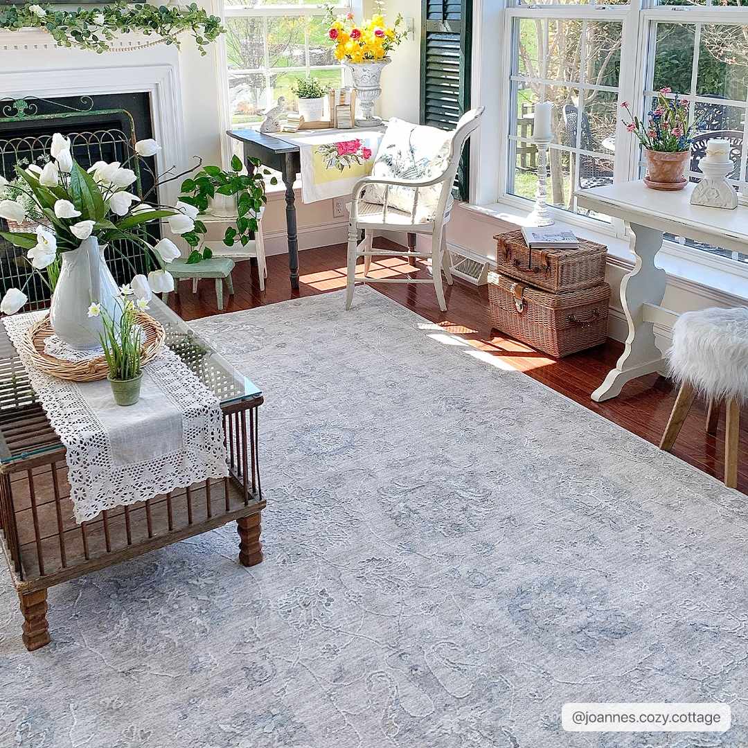 Albuquerque Thick Luxe Area Rug - Ornate Home